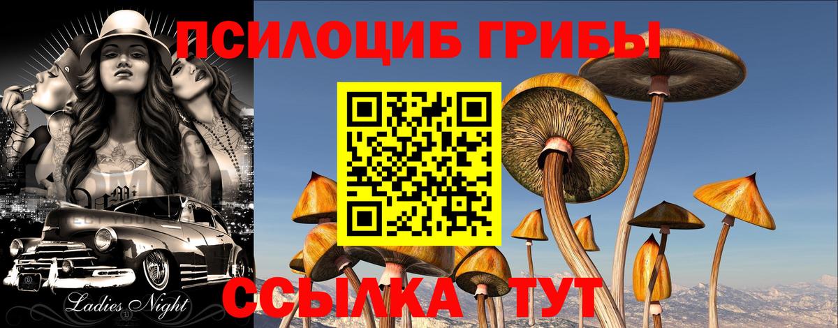 Псилоцибиновые грибы ЛСД Фурманов